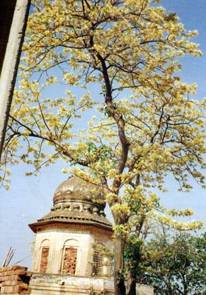Gurudwara Chhevin Patshahi,Minhala