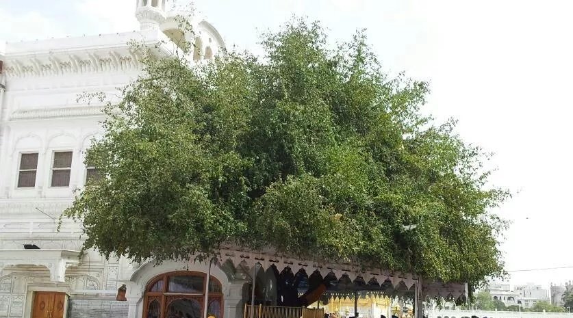 Gurudwara Sri Laachi Ber Sahib, Amritsar